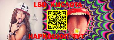 прущие грибы Кингисепп