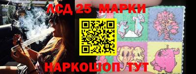 прущие грибы Кингисепп