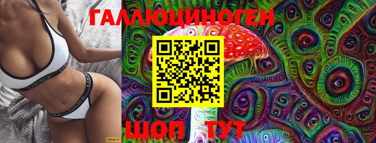 Псилоцибиновые грибы Psilocybe Копейск