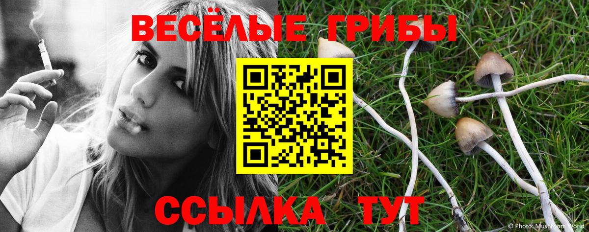 Галлюциногенные грибы ЛСД  Псилоцибиновые грибы Psilocybine cubensis  Вход с VPN  Копейск 
